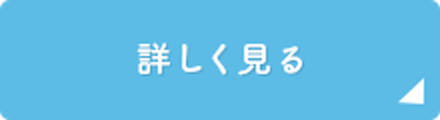 詳しく見る